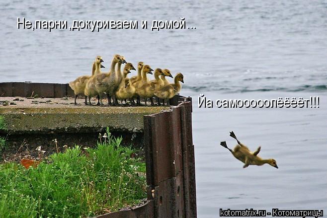 4743317_3C (658x439, 58Kb)