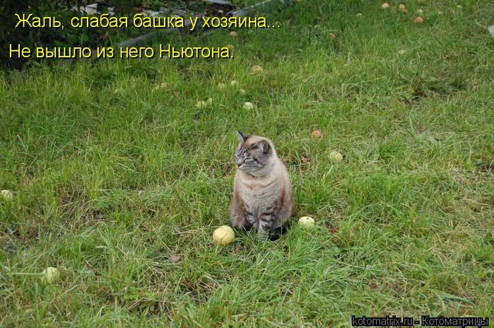 4743317_rW (700x464, 90Kb)