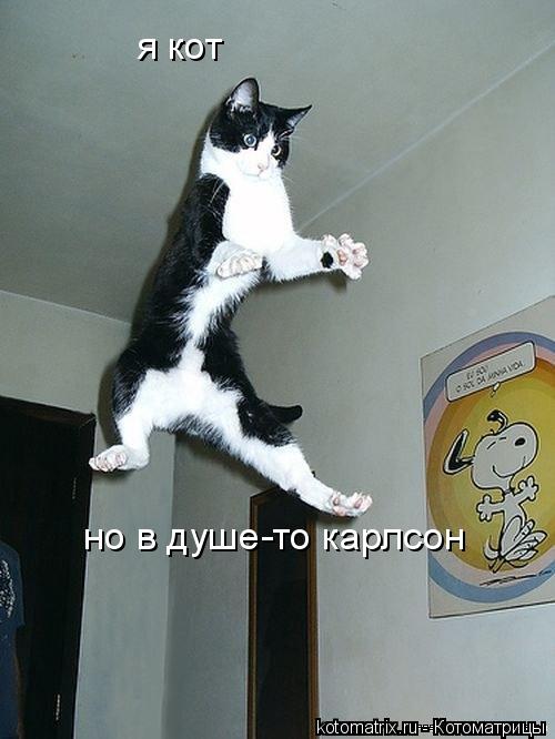 4743317_J5 (500x666, 42Kb)
