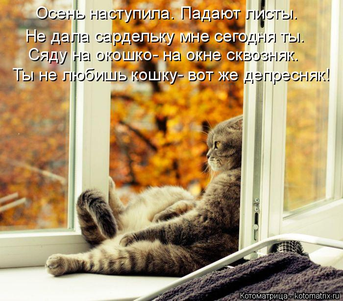 kotomatritsa_b7 (700x615, 380Kb)