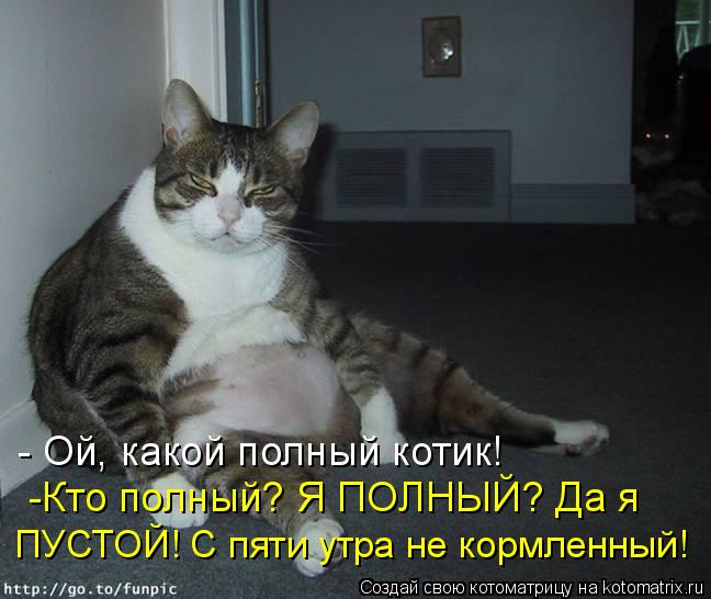 kotomatritsa_Rn (648x546, 196Kb)