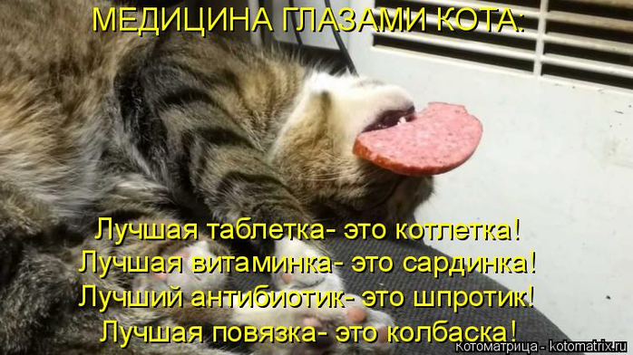kotomatritsa_T (700x392, 322Kb)