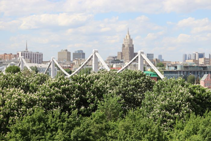 IMG_5598 (700x467, 304Kb)