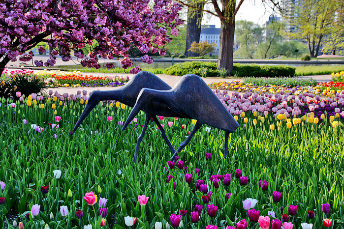 fruehling-im-park-4e63314c-bd61-4100-8b62-3eeaef1d92e0 (900x666, 371Kb)