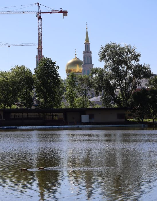 IMG_6218 (2) (548x700, 244Kb)