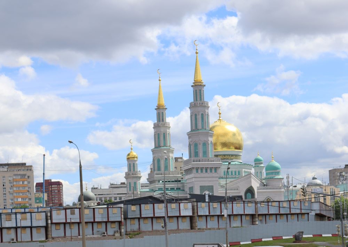 IMG_6256 (2) (700x497, 292Kb)