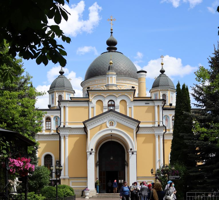 IMG_6269 (2) (700x640, 460Kb)