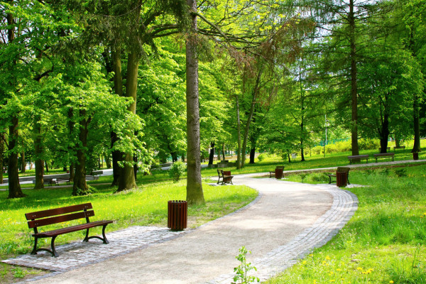 depositphotos_4582193-stock-photo-beautiful-spring-park (900x700, 152Kb)