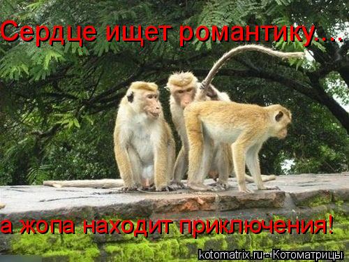 4743317_PP (500x375, 53Kb)