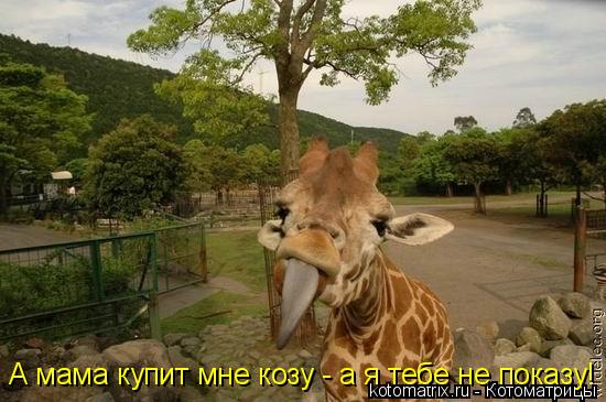 4743317_e (550x365, 46Kb)