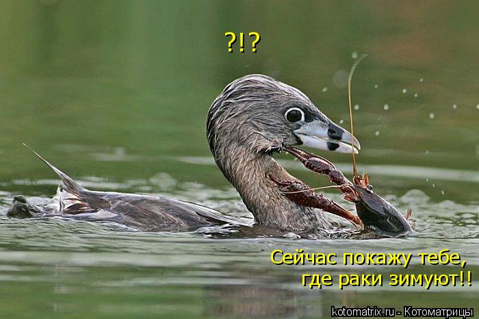 4743317_p (700x466, 57Kb)