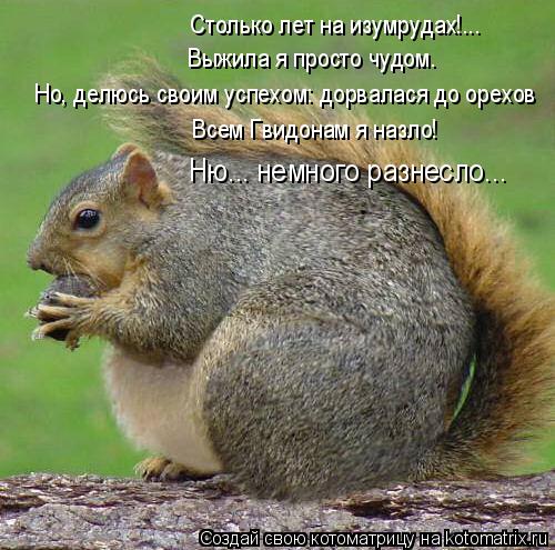 4743317_kotomatritsa_Ir (500x495, 60Kb)