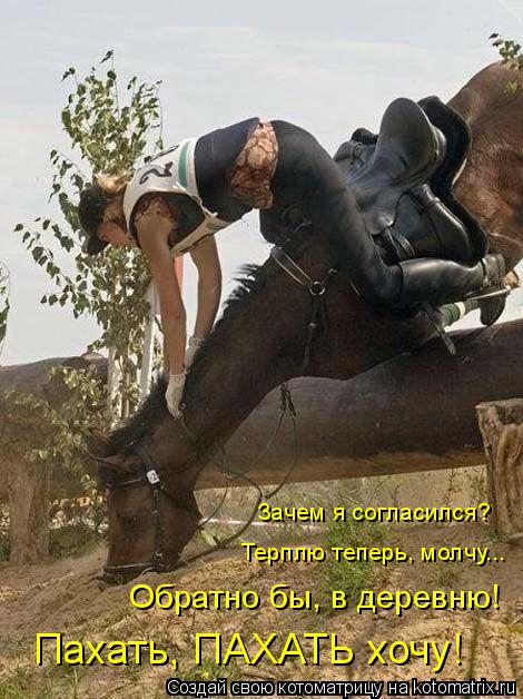 4743317_kotomatritsa_qg (470x628, 66Kb)