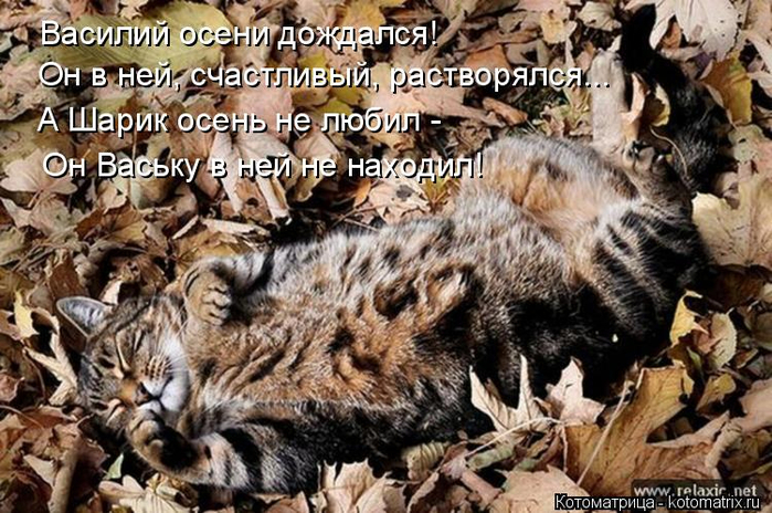 kotomatritsa_c (700x464, 437Kb)
