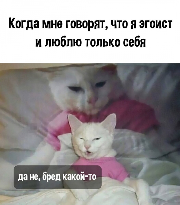 4743317_i_jpg23 (613x700, 187Kb)