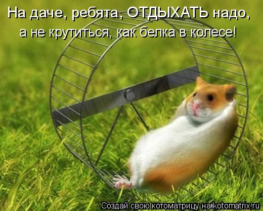 4743317_kotomatritsa_7 (520x416, 45Kb)