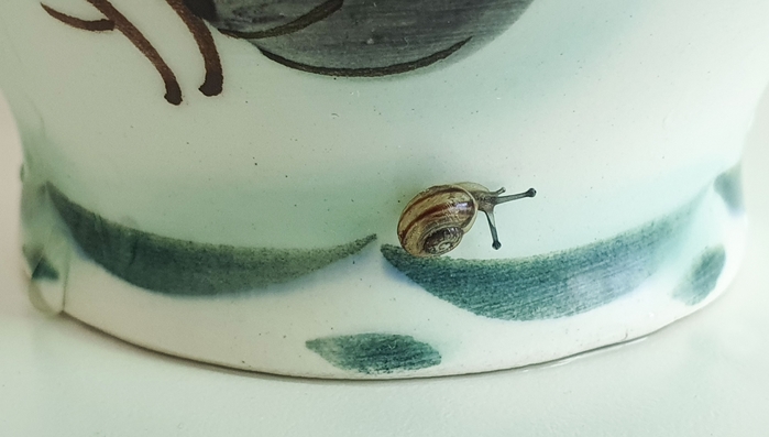 4954089_20210604_075806 (700x397, 146Kb)