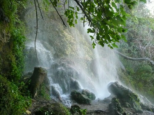 2714816_salto_novia (500x375, 46Kb)