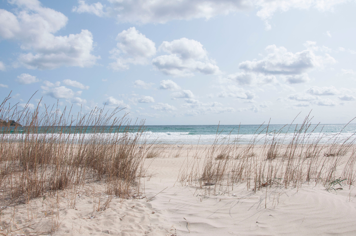 DSC_1142 (700x464, 368Kb)