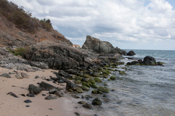 DSC_1272 (700x464, 401Kb)