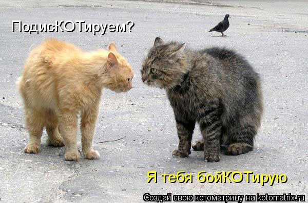 4743317_kotomatritsa_L (600x397, 55Kb)