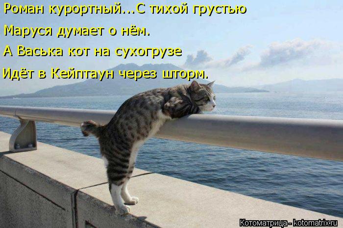 4743317_kotomatritsa_6 (700x467, 60Kb)