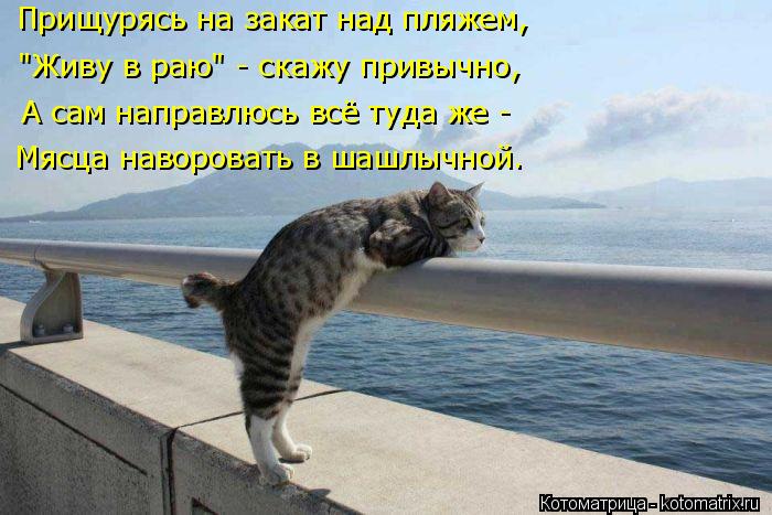 4743317_kotomatritsa_0 (700x467, 61Kb)