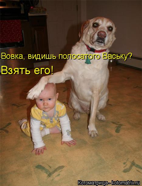 4743317_kotomatritsa_7t (467x610, 39Kb)