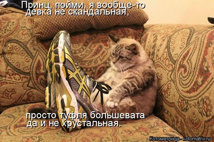 4743317_kotomatritsa_x (700x467, 92Kb)