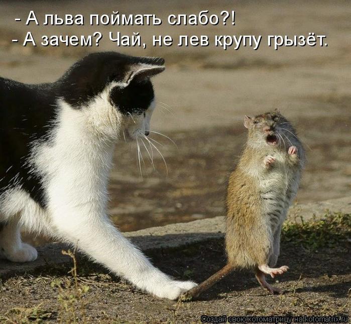 4743317_kotomatritsa_i (700x645, 83Kb)