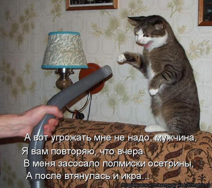 4743317_kotomatritsa_z (700x621, 77Kb)