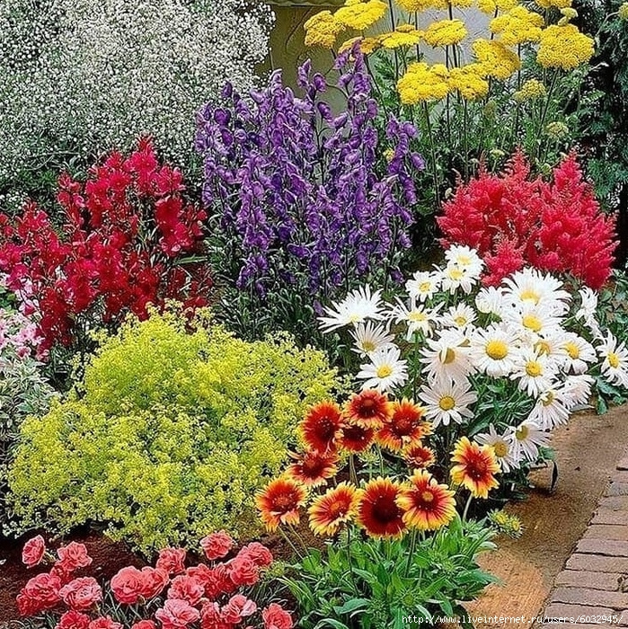 6032945_UPqXo5iR9so (699x700, 673Kb)