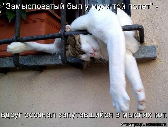4743317_kotomatritsa_O (700x530, 57Kb)