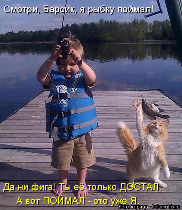 4743317_kotomatritsa_JG (605x695, 82Kb)