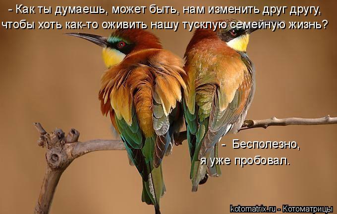 4743317_a (680x433, 50Kb)