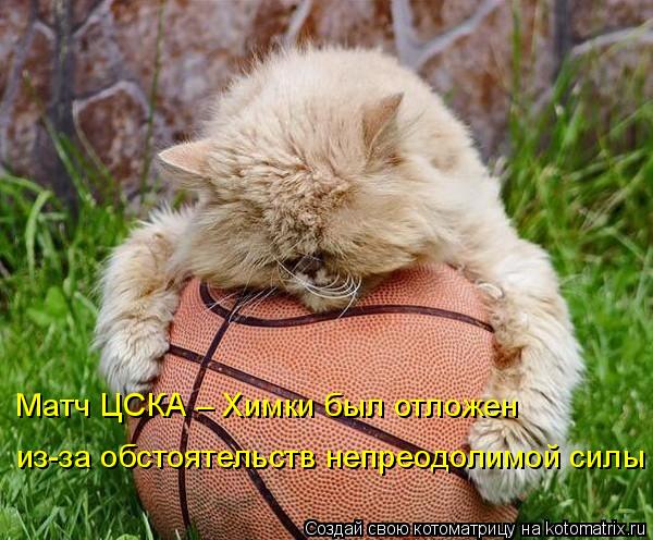 4743317_kotomatritsa_1 (600x496, 69Kb)