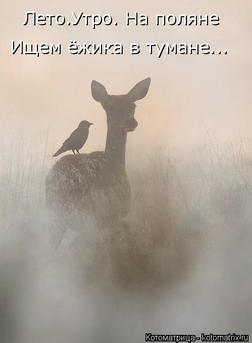 4743317_kotomatritsa_g_jpgk (499x678, 30Kb)
