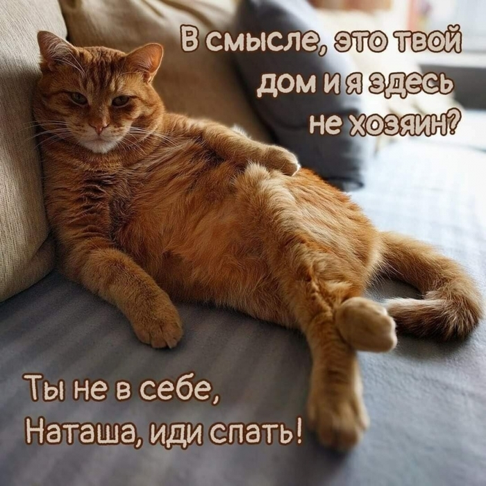 4743317_i_jpgy (700x700, 323Kb)