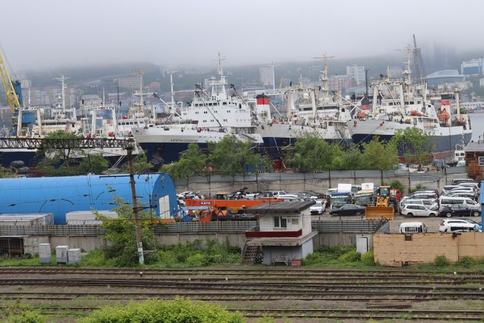 IMG_7384 (700x467, 249Kb)