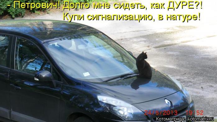 4743317_kotomatritsa_P (700x393, 49Kb)