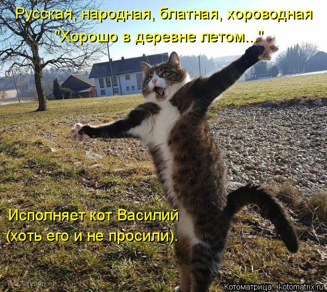 4743317_kotomatritsa_8Q (669x599, 125Kb)