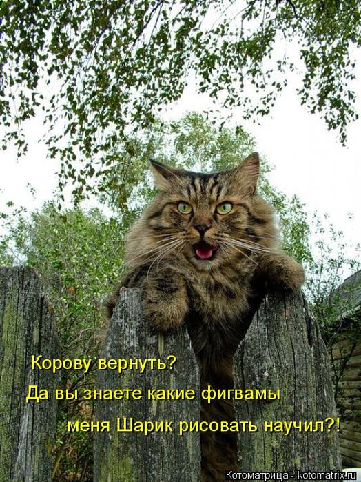 4743317_kotomatritsa_M (524x700, 114Kb)
