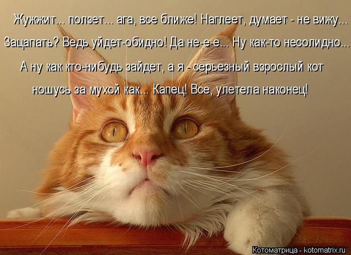 4743317_kotomatritsa_L_jpgv (700x508, 60Kb)