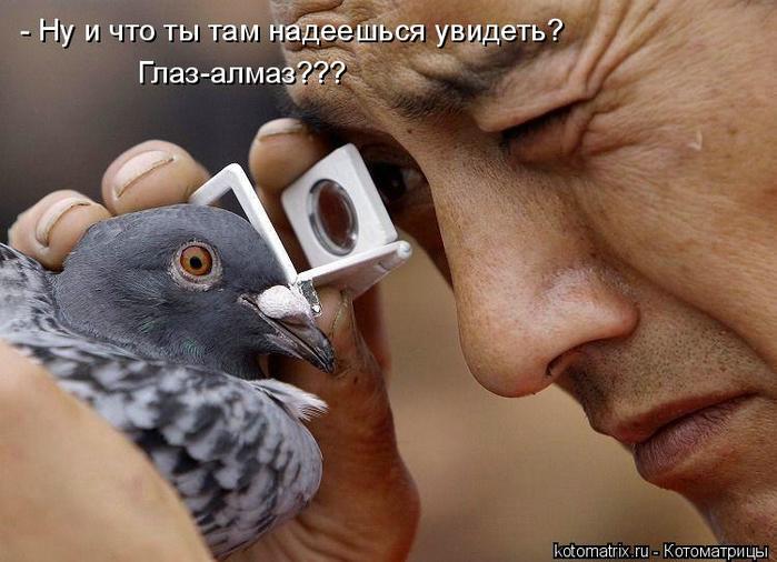 4743317_g (700x506, 54Kb)