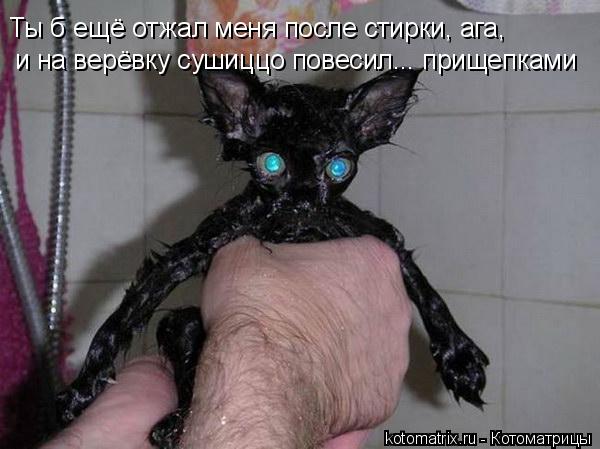 4743317_Qj (600x449, 41Kb)