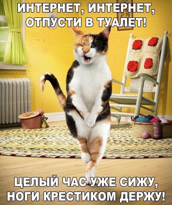 4743317_i_jpga (586x700, 166Kb)