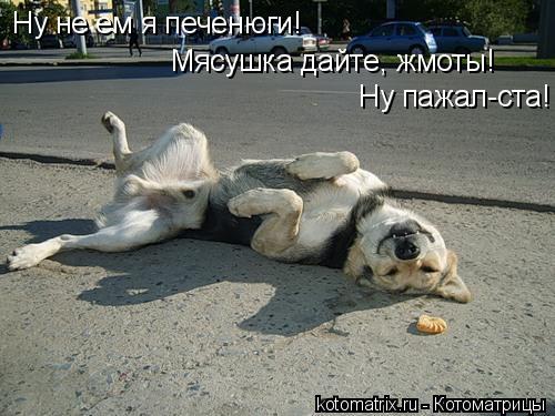 4743317_2e (500x375, 44Kb)
