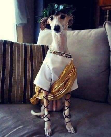 ?