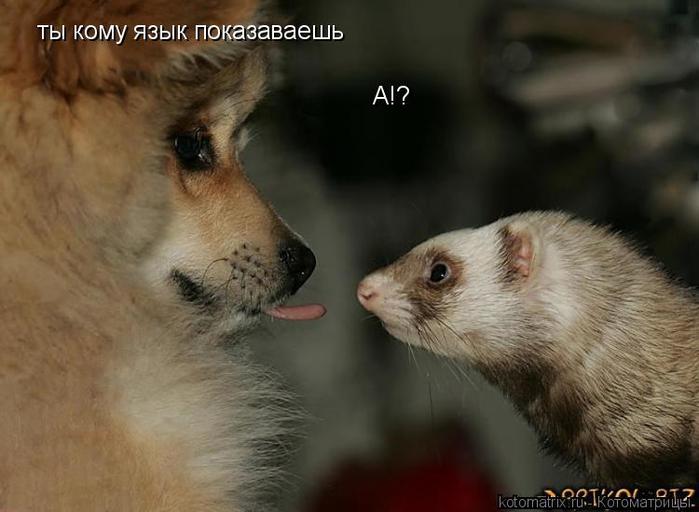 4743317_Rf (700x512, 41Kb)