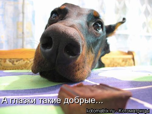 4743317_IF (500x375, 29Kb)
